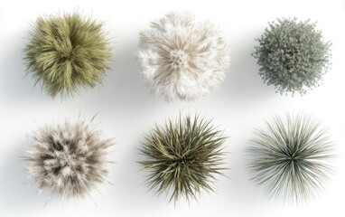 Top-down view of six small potted plants.  Various textures and colors of grasses and shrubs