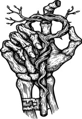 skull of the hand