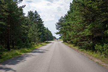 Fototapeta premium Scenic road lined with trees in a rural area on a sunny day with cyclists in the distance