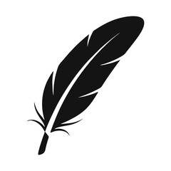Obraz premium vector illustration of a feather