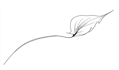 Elegant, flowing line drawing of a single leaf.  Delicate, graceful, and minimalist design.  Light gray/black lines define the leaf's form
