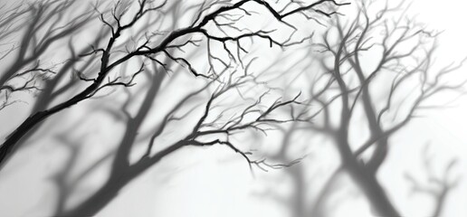 Obraz premium Bare tree silhouettes cast as shadows on a light background. Intricate, dark, and flowing branches create a sense of mystery and stillness