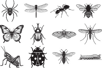 Insect Flat Vector Bundle | Dragonfly, Honeybee, Butterfly, Ladybug, Ant, Beetle