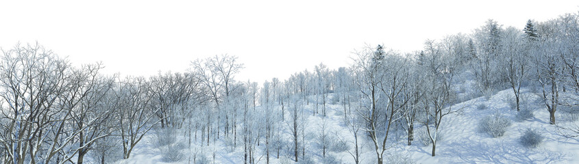 3D render panoramic view of mountains in winter on a transparent background.