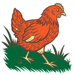 Flowers and Leaves Design Elements