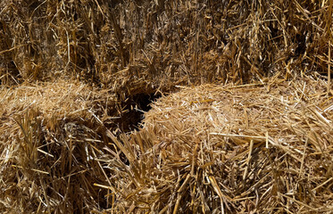 Close up full frame view into bales of straw