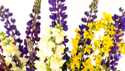 Vibrant bouquet of purple, yellow and white flowers