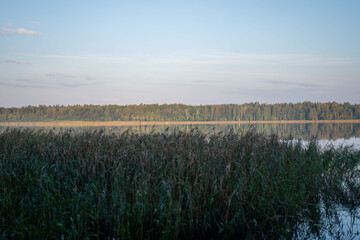 Scenic view of calm lake and lush forest during early morning light in a serene natural setting