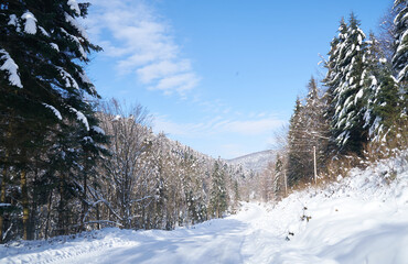 winter in Ukrainian Carpathian mountains