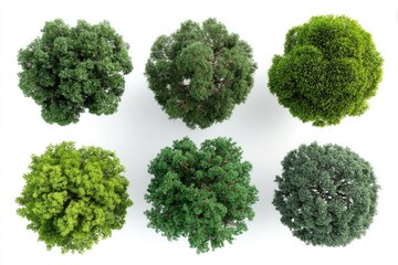 Six top-down views of diverse trees, various shades of green foliage,  against a plain white background