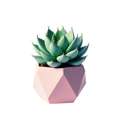 A vibrant succulent plant in a geometric, pastel pink pot against a dark background.