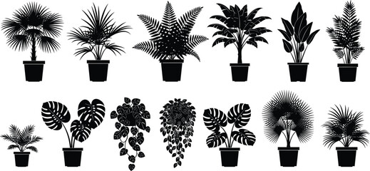 Potted plant silhouette collection, black vector clipart, indoor foliage icons, houseplant design elements, botanical illustration, leaf shape set