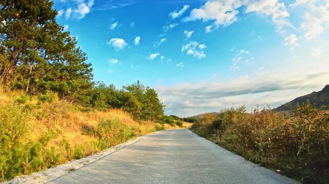Golden summer nature, green grove, uneven terrain, skyline, POV car driving