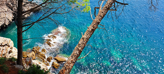 Scenic view from above of a rocky sea coast with turquoise waves crashing against the shore, framed by pine trees and branches, creating a serene Mediterranean atmosphere.