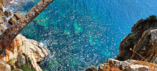 Scenic view from above of a rocky sea coast with turquoise waves crashing against the shore, framed by pine trees and branches, creating a serene Mediterranean atmosphere.