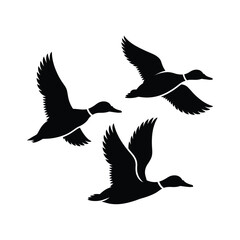 Fototapeta premium Three black silhouettes of ducks flying in formation