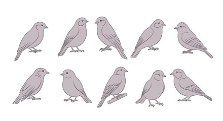 Obraz premium A beautiful collection of ten small gray birds perched and looking attentively.