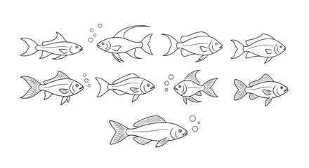 A collection of stylized fish illustrations in black and white lines.