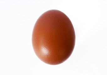 Brown Egg Isolated on White Background