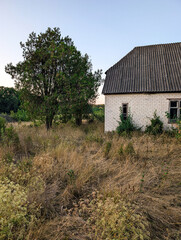 Side view of a simple white brick building with a dark gray corrugated roof and two small broken windows, standing amidst a vast expanse of overgrown, dry golden summer grass and a large juniper tree.