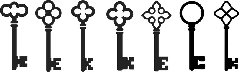 Obraz premium Vintage Skeleton Keys