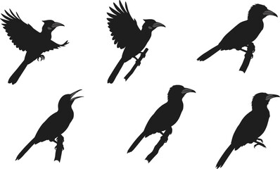 Hornbill bird silhouette vector, flying and perching poses, tropical wildlife illustration, exotic bird design, black shape, nature, jungle, rainforest, animal © Shafik Creatives