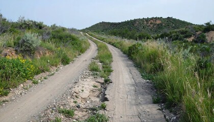Dirt road curving up a hill amidst sagebrush and grassy fields under a bright sky