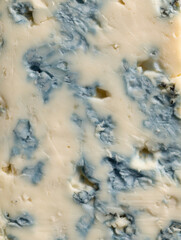 Obraz premium Delicious blue cheese with creamy texture and distinctive blue veins found in gourmet cheese shop