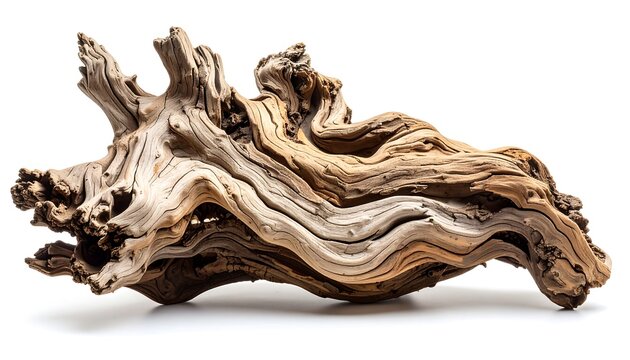 Intricate driftwood