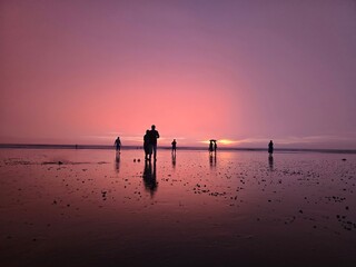 Fototapeta premium Silhouettes of people walking on a wet beach during a vibrant pink and purple sunset, reflecting on the water