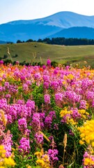 Vibrant wildflowers, rolling hills, and a distant mountain