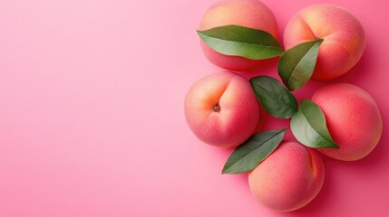 Pink Peach Clean Background for Design, Soft and Fresh Aesthetic.