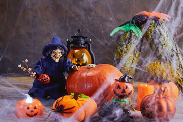 halloween, a cheerful witch with flowers stands near a big pumpkin at a noisy cobweb party with other pumpkins and spiders, All Saints Day, horizontal, creative focus