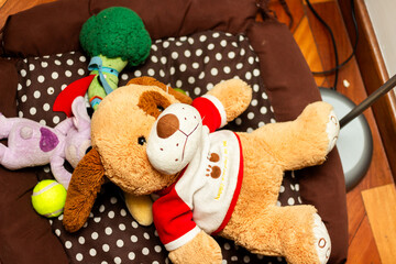 Stuffed Toys on Floor in Warm Light
