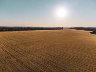 Aerial wheat field in summer Ukraine countryside in bright morning light