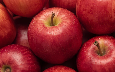fresh red apples close up
