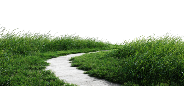 Winding path leading through lush green grass lawn, isolated on transparent cutout background