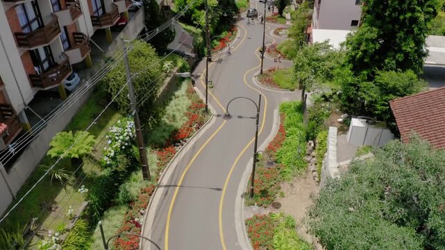 Aerial view of a winding road lined with lush greenery and colorful flowers
