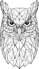 Obraz premium A detailed illustration of an owl's head, meticulously crafted with a geometric design.