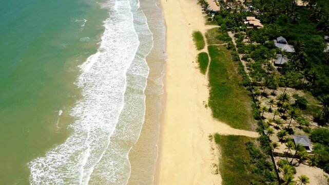 Aerial view of waves crashing on a sandy beach with tropical vegetation