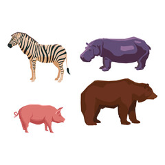 Four different animals, including a zebra, hippopotamus, pig, and brown bear, depicted in a flat illustration style