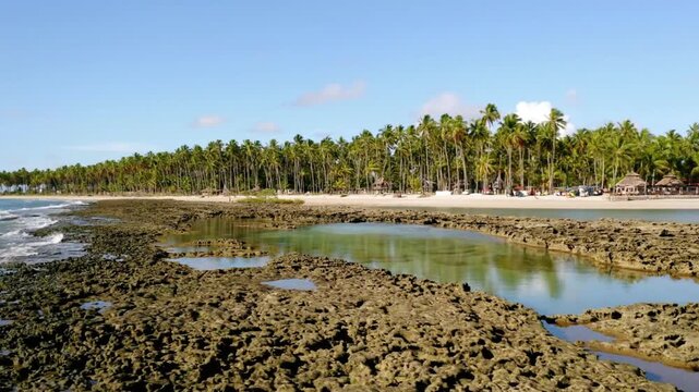 Beautiful tropical beach with palm trees and rock pools on a sunny day