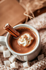 Cozy Hot Chocolate with Cinnamon and Marshmallows