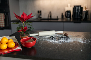 Making Christmas cookies. Composition with raw dough and ingredients on black table