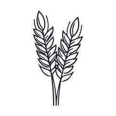 Fototapeta premium Wheat stalks graphic design for agricultural themes and products. Vector black icon