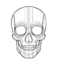 Fototapeta premium Artistic skull design for Halloween decorations and educational use. Vector black icon