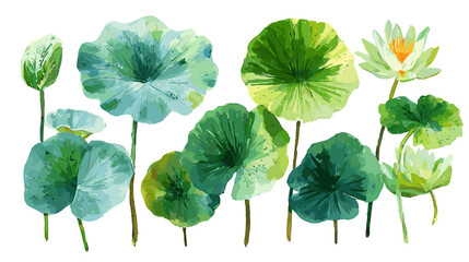 Vector illustration of a set of different lily pad leaves isolated on a white background