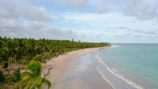 Aerial view of a tropical beach with palm trees and turquoise water