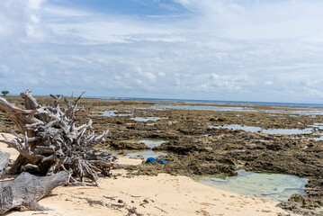 A coastline stretches endlessly, waves shaping land with timeless rhythm. An island rises solitary, surrounded by sea, holding secrets of nature, solitude, and boundless horizon’s charm.