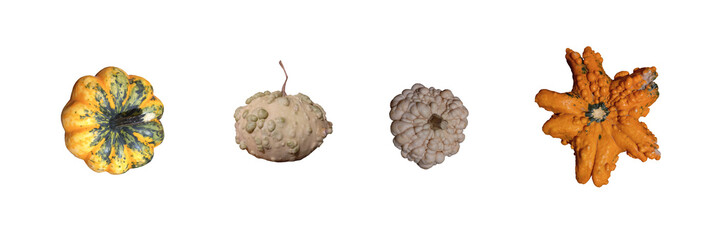 Ugly pumpkins isolated photos set. Bumpy gourds collection. Strange and warty squashes. Autumn and Halloween symbol.
